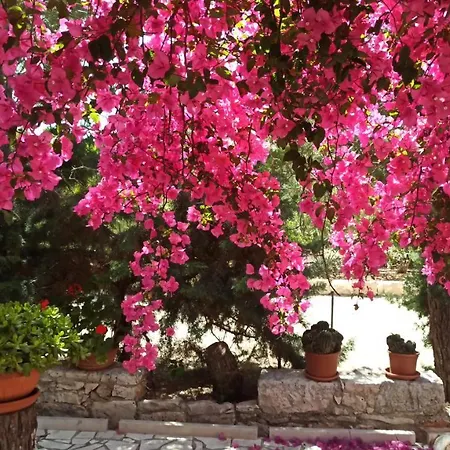 villa Beatrice Serranova Esterno foto
